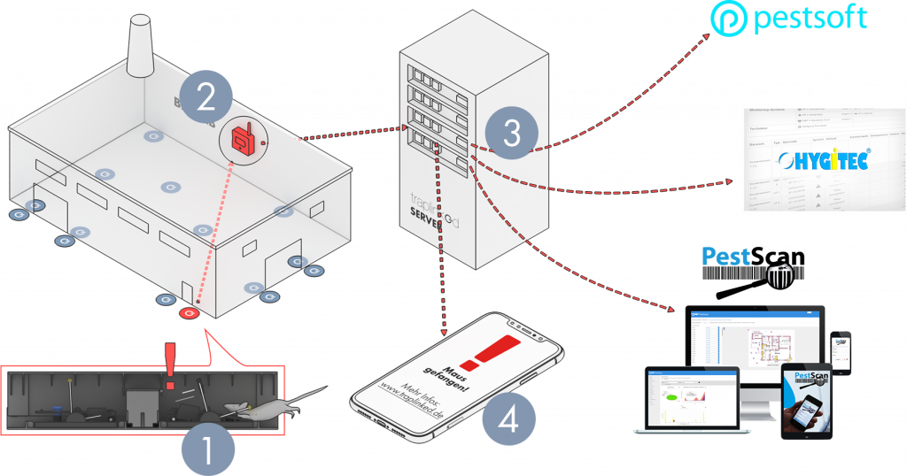 Infografik Ablauf + Doku Systeme Infografik Ablauf + Doku Systeme