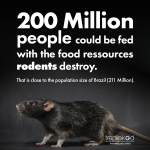 Rodent_Fact_01