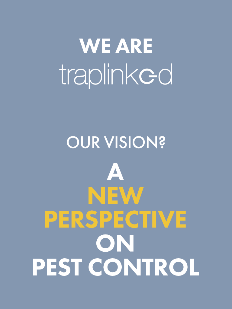 Vision Tablet EN Vision Tablet EN