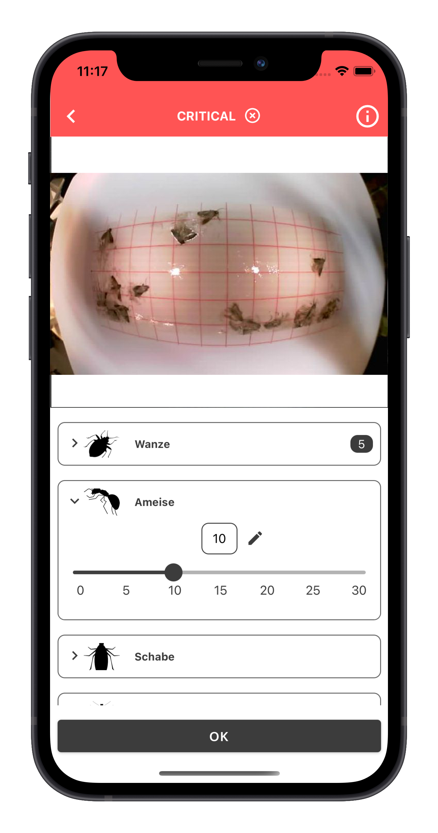 Software Insekten Software Insekten