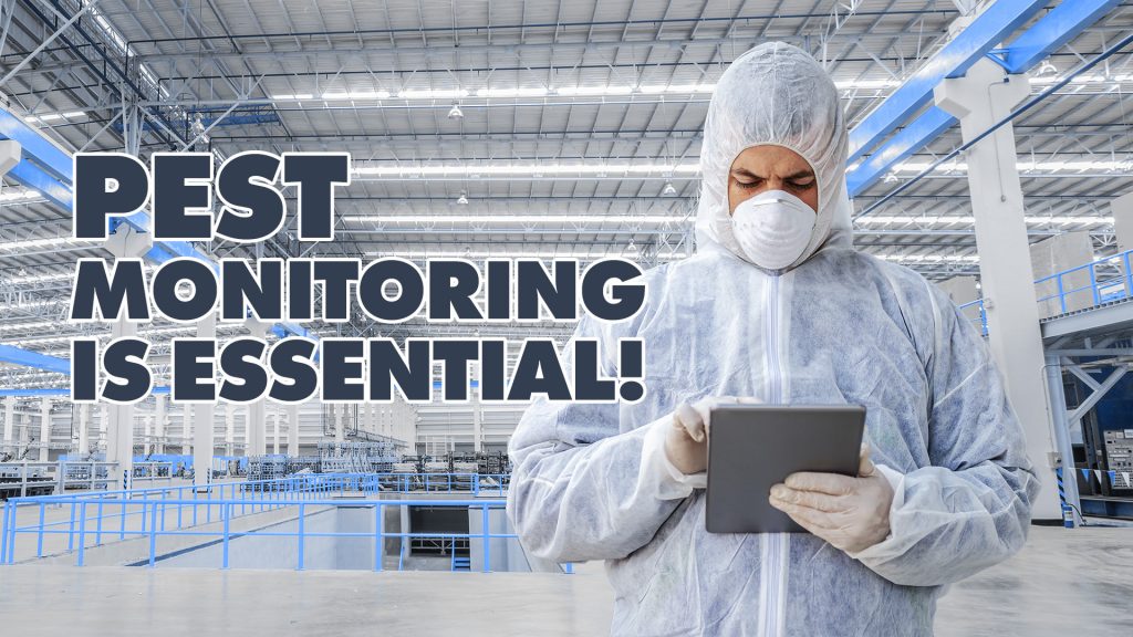 Pest monitoring is essential