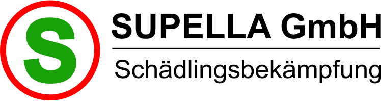 Supella