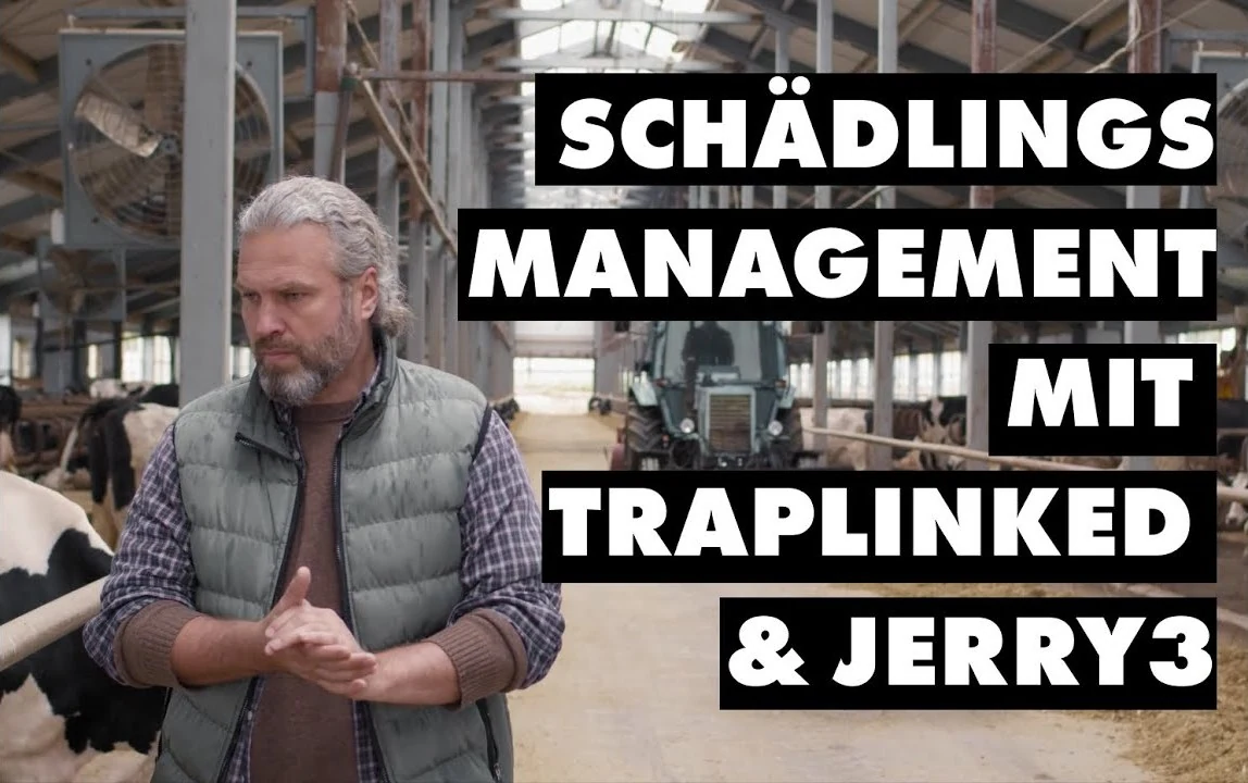 tl video jerry poster